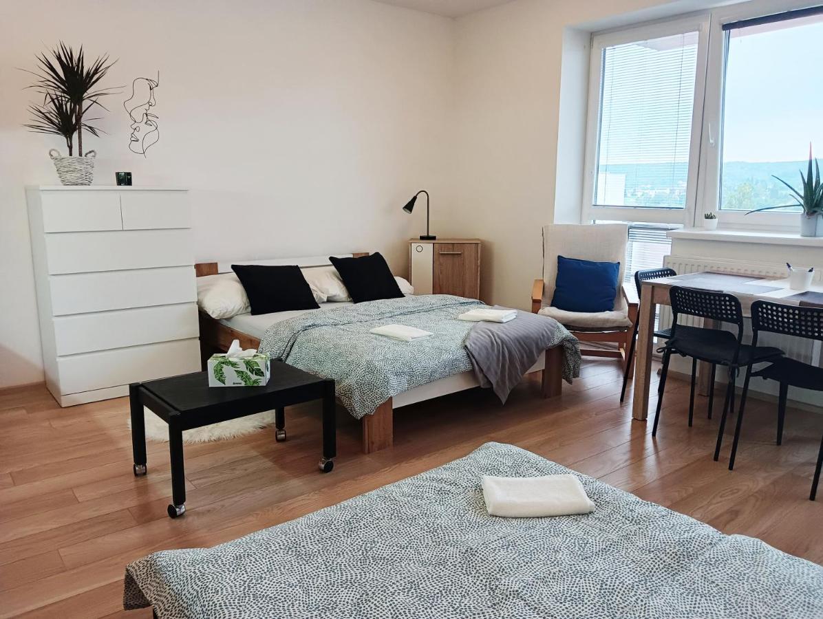 Apartman Bystrc ブルノ エクステリア 写真