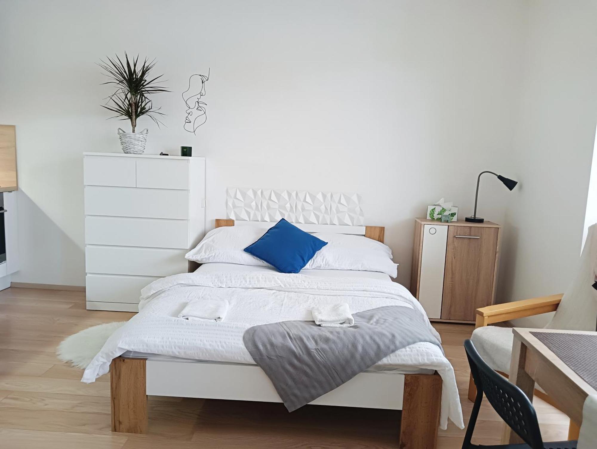 Apartman Bystrc ブルノ エクステリア 写真